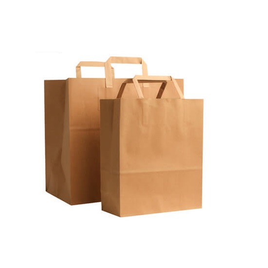 10 pcs Brown Kraft Paper Bag